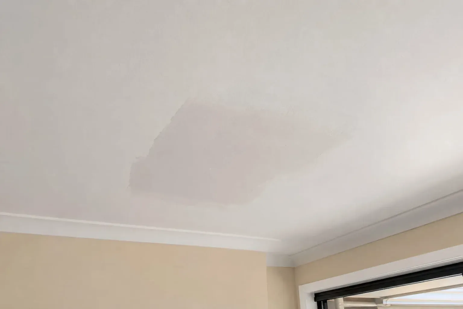 White ceiling with a rectangular patch of fresh setting plaster sanded smooth above a window
