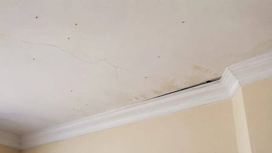 Gap opening between a white ceiling and the top edge of the cornice, with fine cracks spreading across the ceiling
