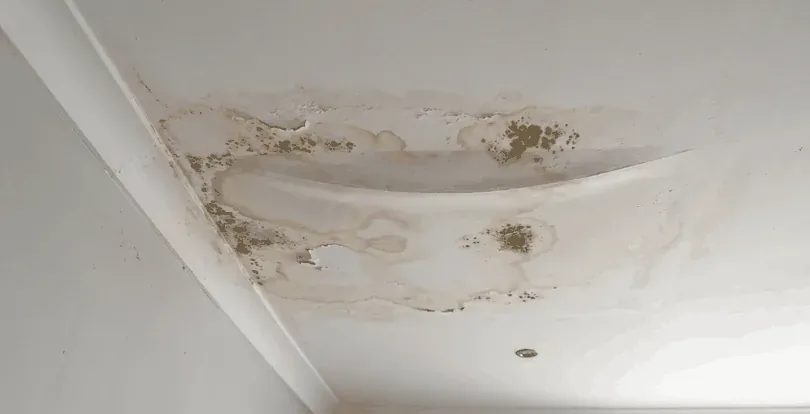 Mould and a water stain in a ceiling corner beside a bulkhead