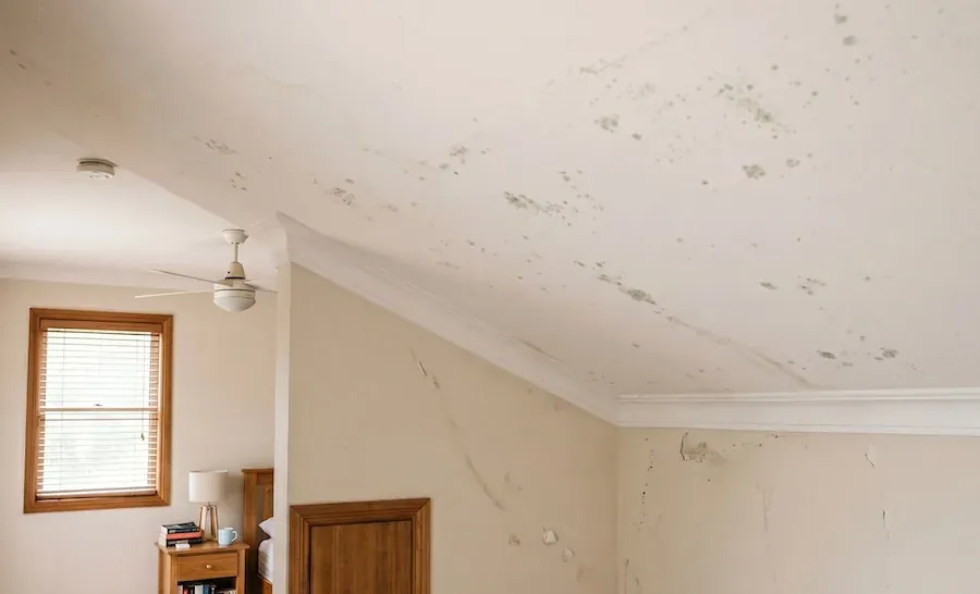 Mould spots and staining across a raked bedroom ceiling in an older home