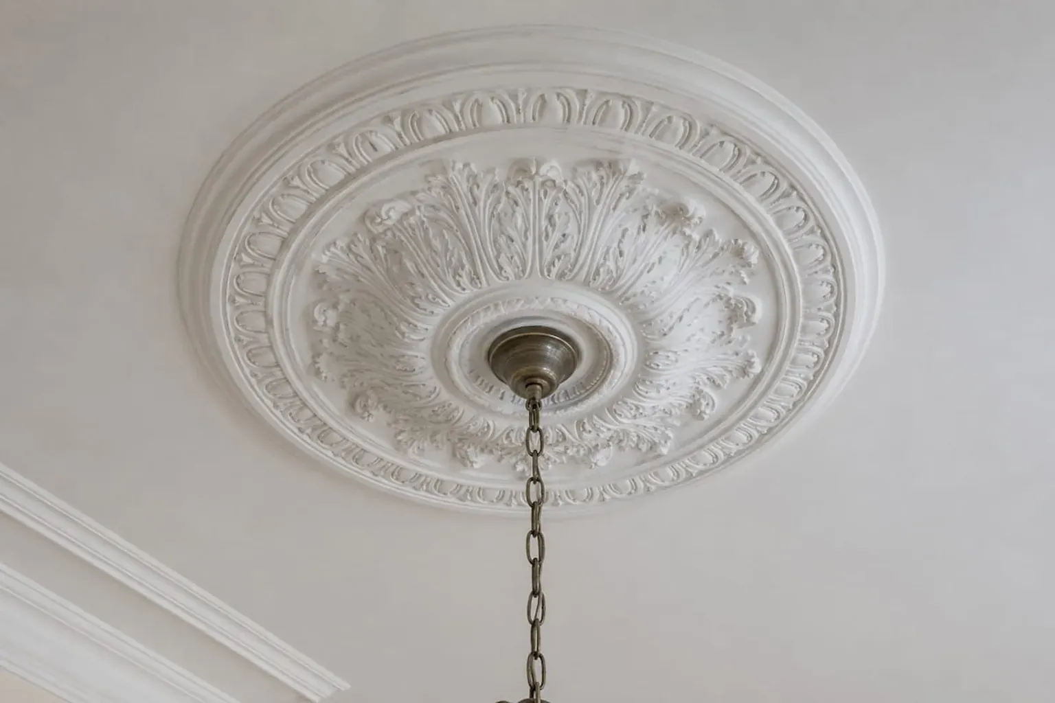 Ornate circular plaster ceiling rose with a pendant light hanging from its centre