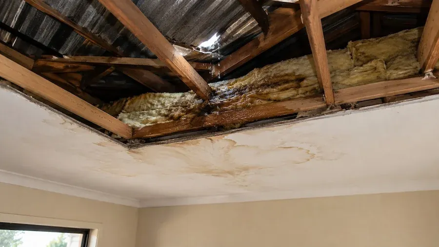 Roof leak with water dripping through the tiles onto wet insulation and a hole in the ceiling below