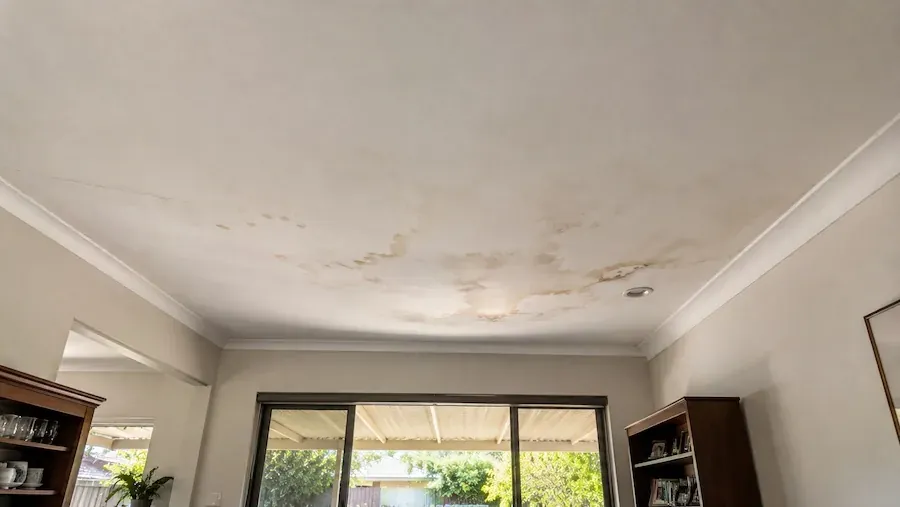 Dining room ceiling bowed and water-stained near the cornice