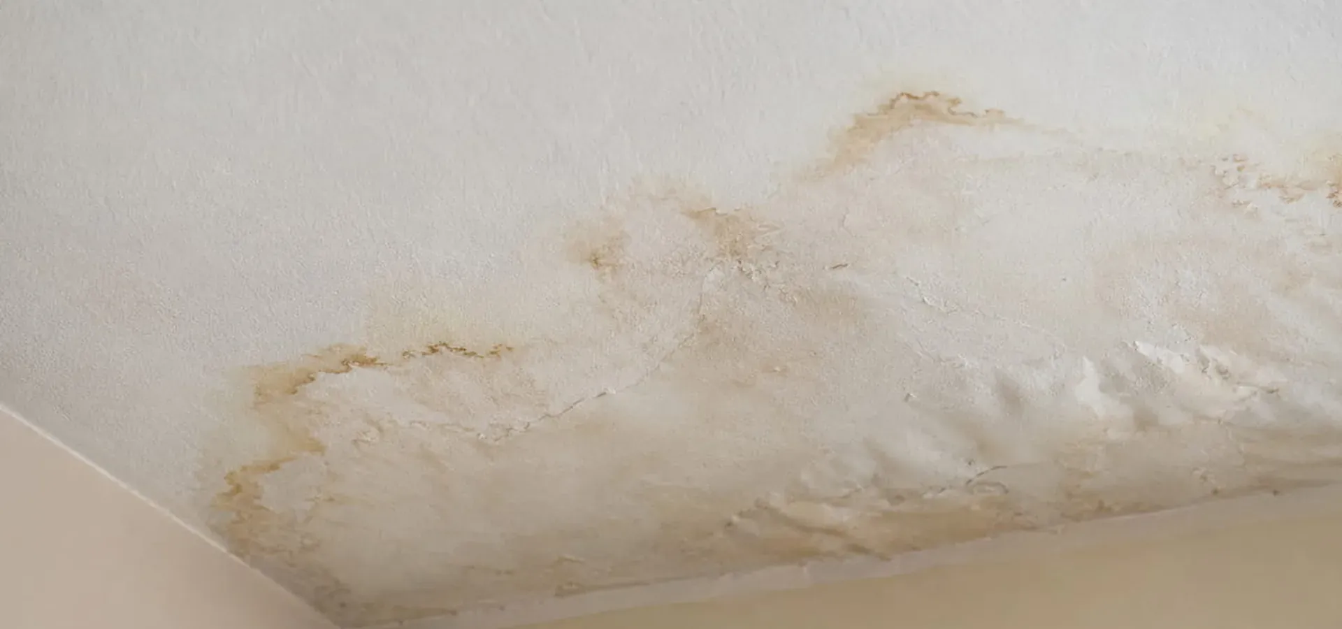 Brown water stains and bubbling across a textured ceiling